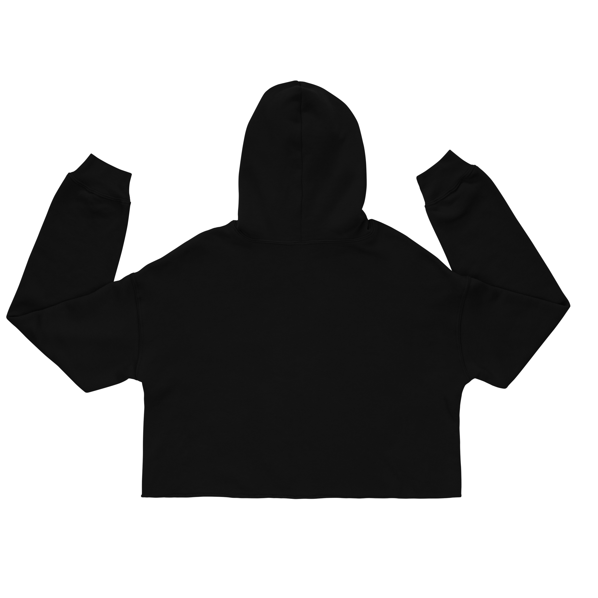 Iwin New Logo Crop Hoodie - Black - Image 5